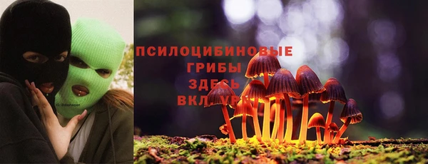 apvp Баксан