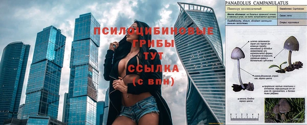 apvp Баксан