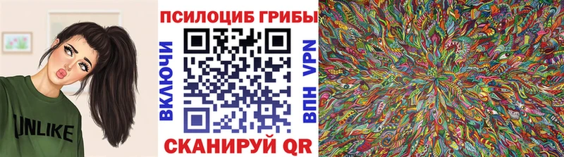 omg онион  Среднеуральск  Псилоцибиновые грибы мухоморы 